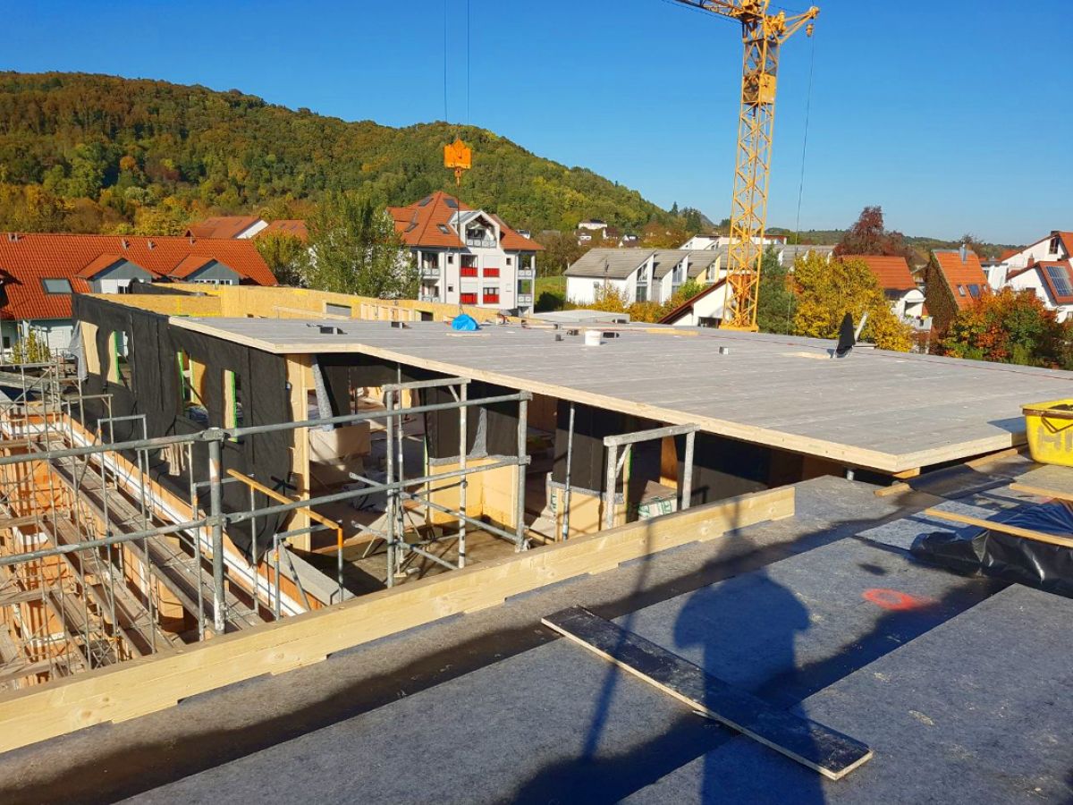 Versetzen der Dachelemente - 11.10.17