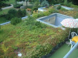 Flachdach nach der Sanierung